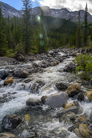 Hiking the Dormer River / Pass Trail which gets indistinct when crossing Stony Creek.