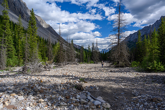 Hiking the Dormer River / Pass Trail which gets indistinct when crossing Stony Creek.