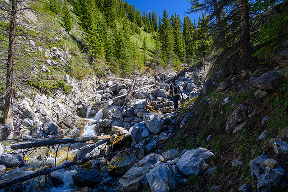Hiking up a small creek towards Psychic Peak.