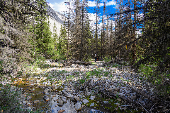 Hiking the Dormer River / Pass Trail which gets indistinct when crossing Stony Creek.