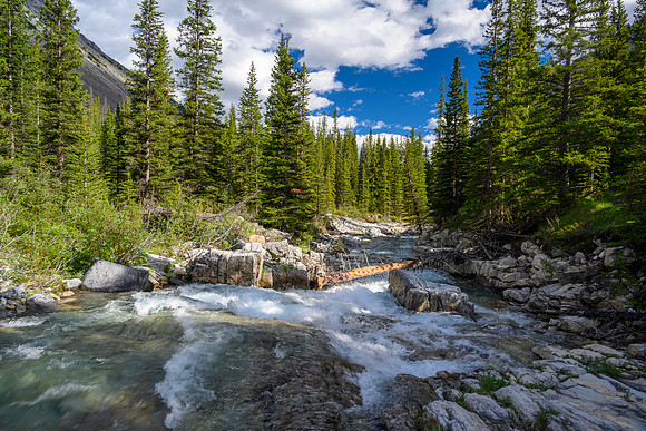 Hiking the Dormer River / Pass Trail which gets indistinct when crossing Stony Creek.