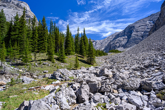 Lovely alpine meadows in the valley south of Psychic Peak.