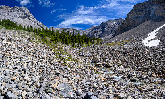 Lovely alpine meadows in the valley south of Psychic Peak.