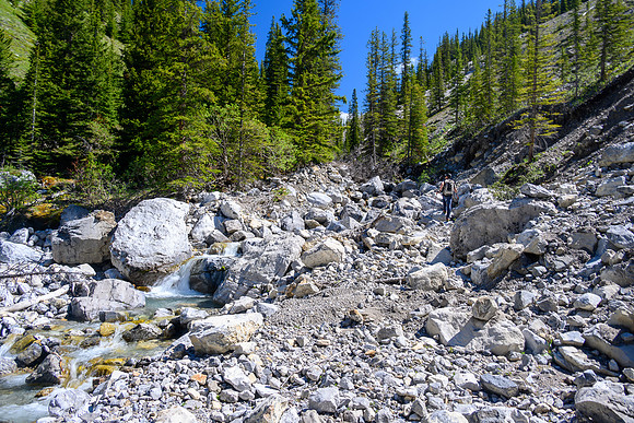 Hiking up a small creek towards Psychic Peak.