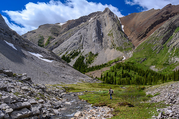 Exiting the gorgeous alpine meadows to the Dormer Headwaters "trail".