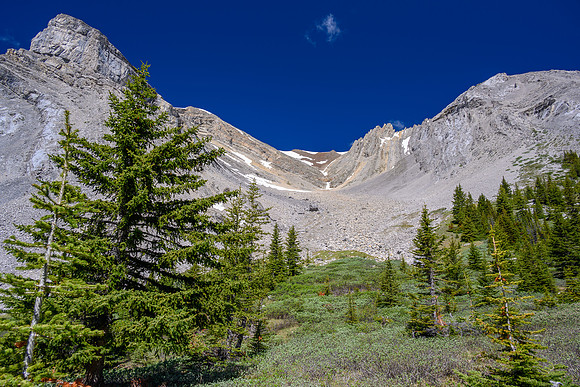 Lovely alpine meadows in the valley south of Psychic Peak, views up towards the peak.