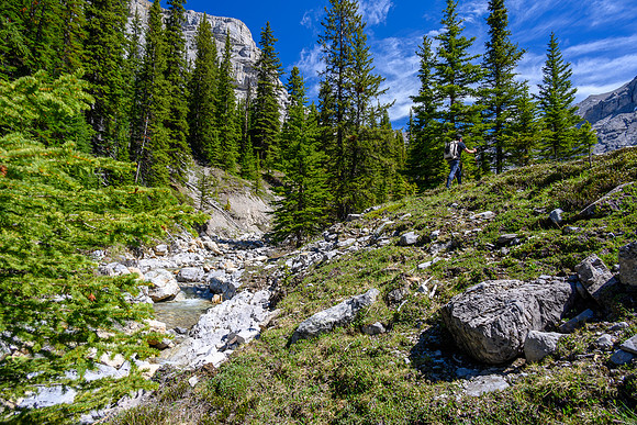 Lovely alpine meadows in the valley south of Psychic Peak.