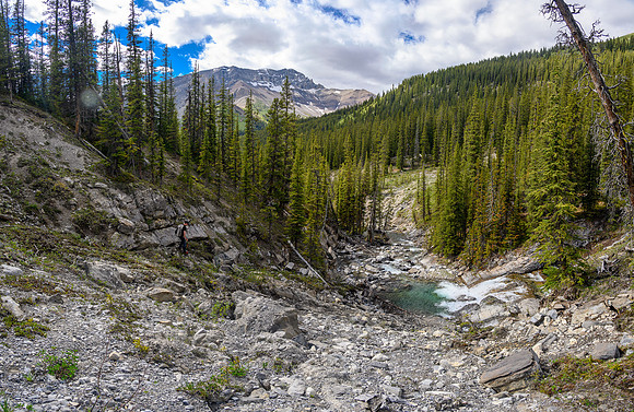 Trying to find the newer trail on the south side of the creek.