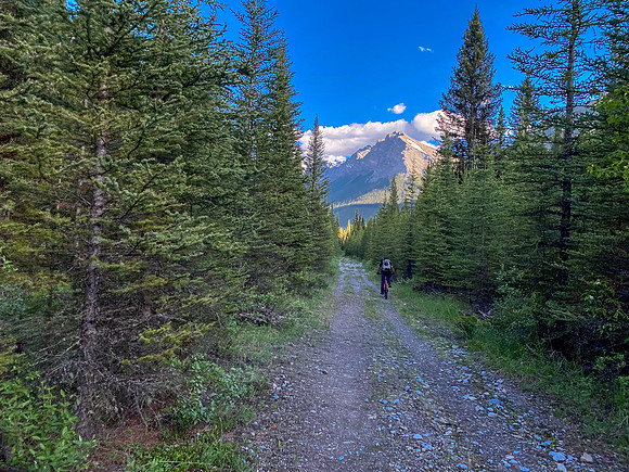 Biking back on the Cascade fire road.