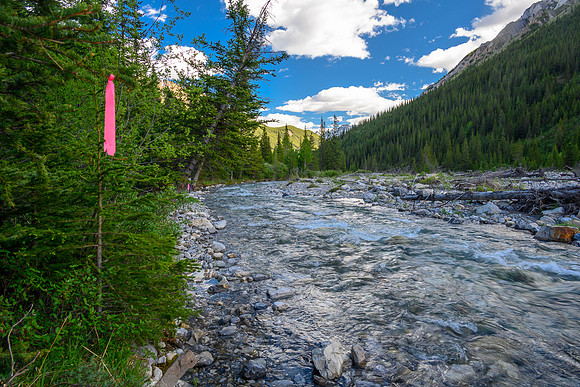 Hiking the Dormer River / Pass Trail which gets indistinct when crossing Stony Creek.