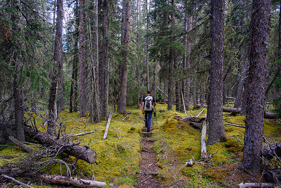 Hiking the Dormer River / Pass Trail.