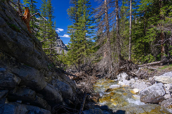 Hiking up a small creek towards Psychic Peak.