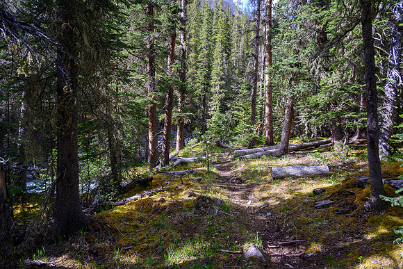 The Dormer River / Pass Trail is well defined.