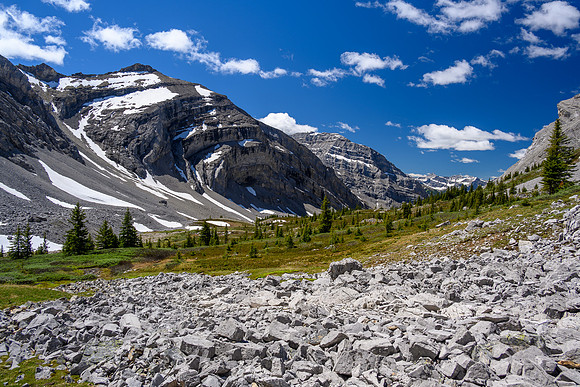 Lovely alpine meadows in the valley south of Psychic Peak.