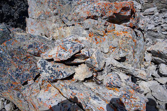 A cairn or a pile of random rocks near the summit? I'll assume cairn but it's an oldie...