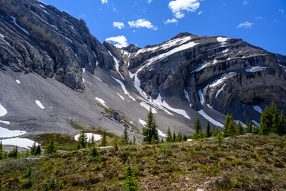 Lovely alpine meadows in the valley south of Psychic Peak.