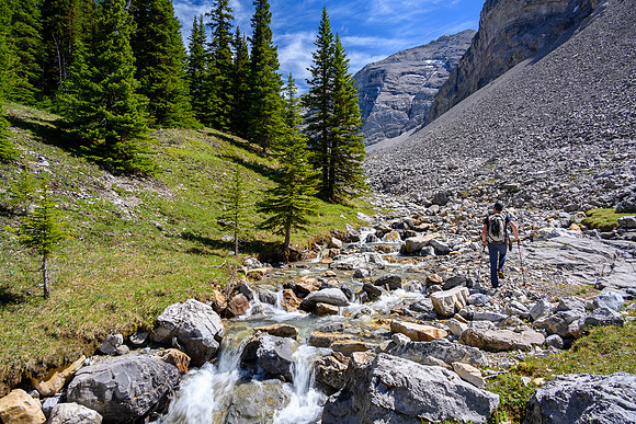 Lovely alpine meadows in the valley south of Psychic Peak.