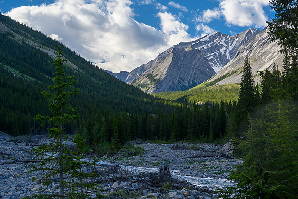 Hiking the Dormer River / Pass Trail which gets indistinct when crossing Stony Creek.