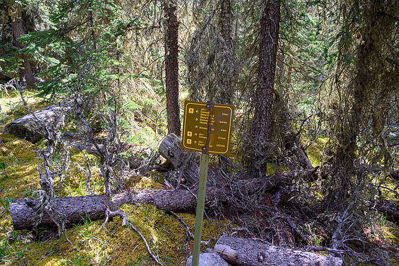 A sign at the junction with Dormer Pass and Dormer Headwaters trails.