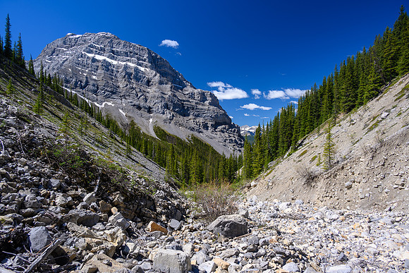 Views back down the creek.