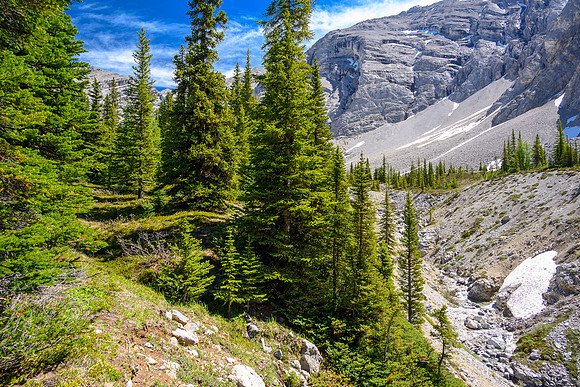 Lovely alpine meadows in the valley south of Psychic Peak.