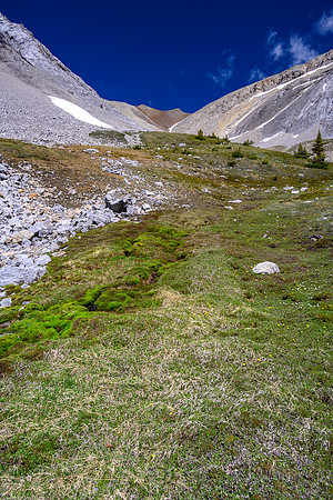 Views to the distant Psychic and Psychic E col.