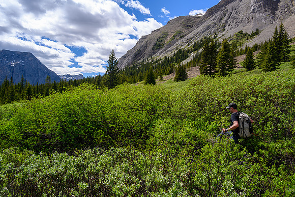 Trying desperately to find a trail!
