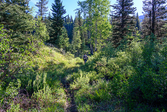 Hiking the Dormer River / Pass Trail.