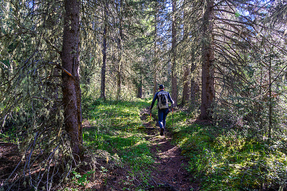 Hiking the Dormer River / Pass Trail.