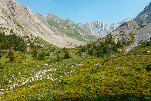 Alpine meadows before the lake.