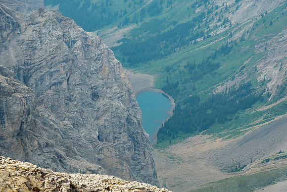 The small unnamed creek at the head of the south Spectral Creek branch.