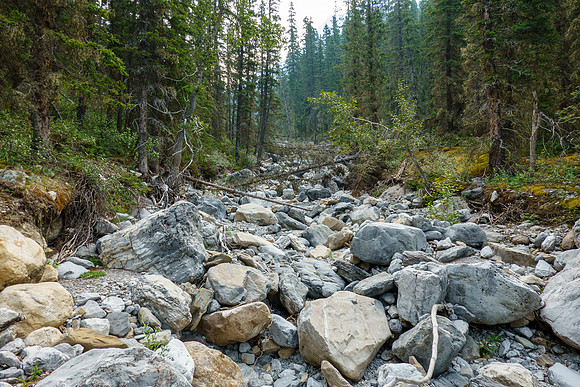 Hiking the access creek.
