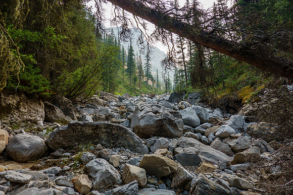 Hiking the access creek.