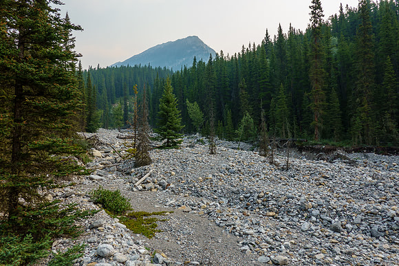 Starting up the access creek.