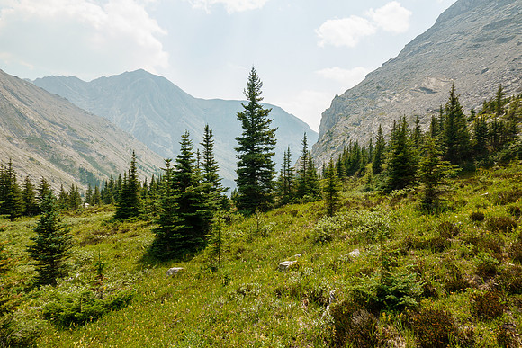 Exiting the upper alpine meadows to the access stream under Mount Astley.