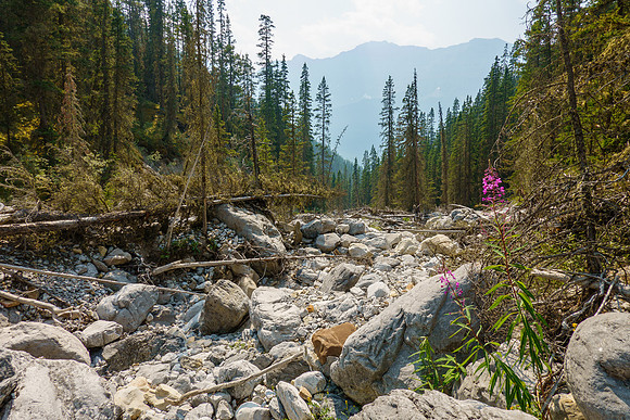Hiking down the access stream.