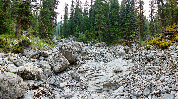 Hiking the access creek at the junction - go left up the bigger branch.