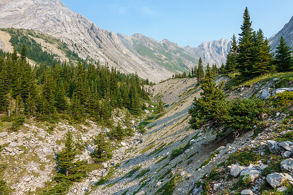 Hiking up the north branch of the upper access creek.