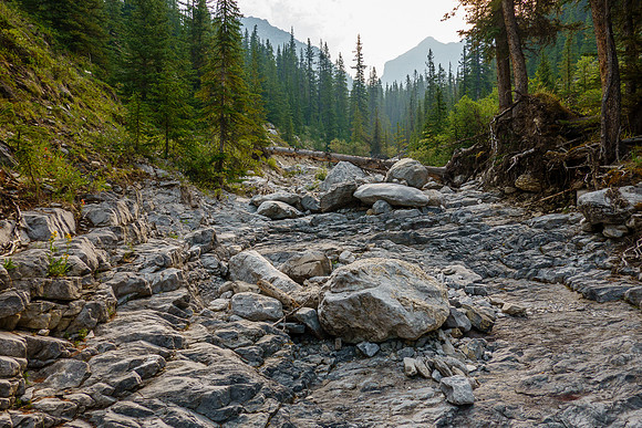 Hiking the access creek.