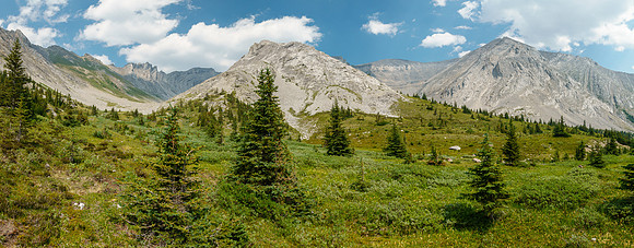 Views back up the alpine meadows. Solstice at left.