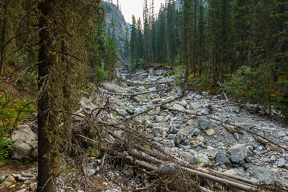 Hiking the access creek.