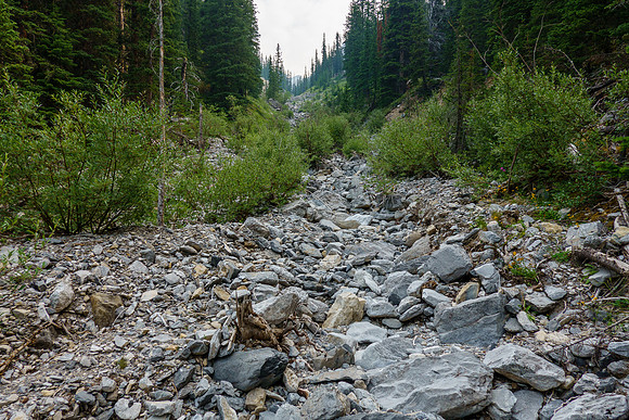 Hiking up the north branch of the upper access creek.