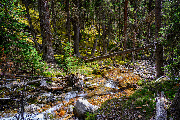 Hiking back down the approach creek.