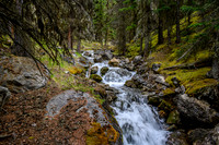 The lovely approach creek.