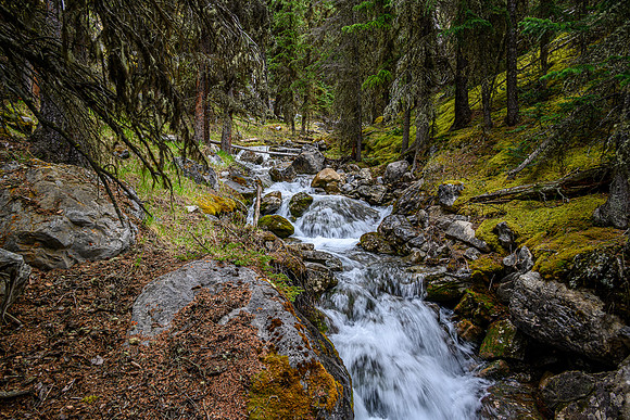 The lovely approach creek.