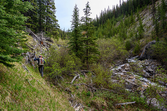 Hiking up the approach creek.