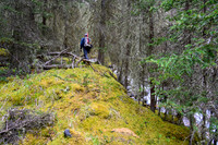 Hiking up the approach creek.