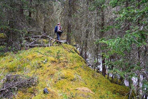 Hiking up the approach creek.
