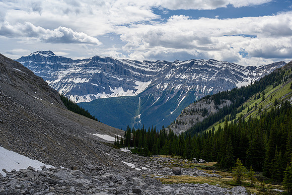 Hiking back into the approach creek.