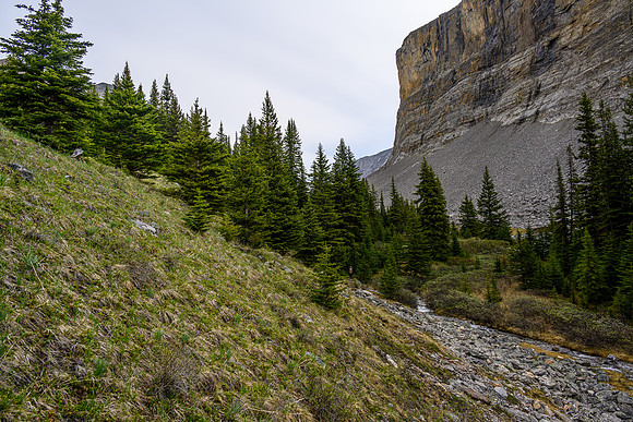 Hiking the upper part of the creek just before the lake.